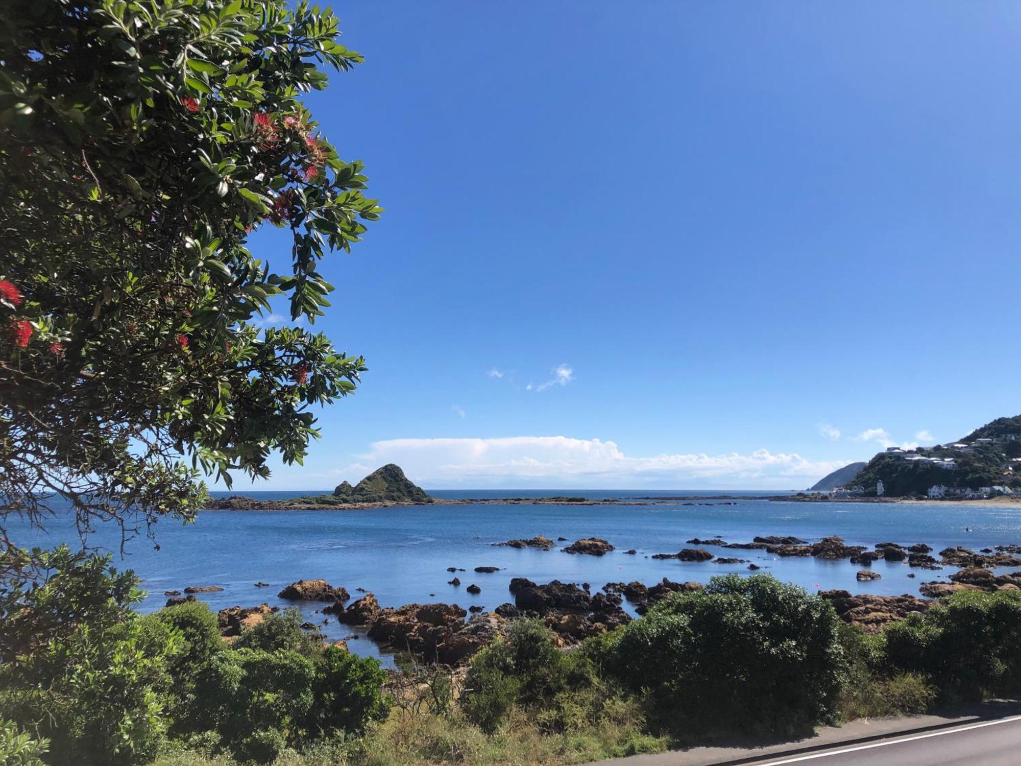 Seafront Haven In Island Bay With Deck, Outdoor Bath, And Parking Appartement Wellington Buitenkant foto
